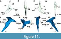 s figure11