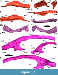 s figure17