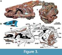 s figure2