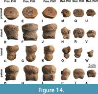 s figure14