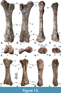 s figure15