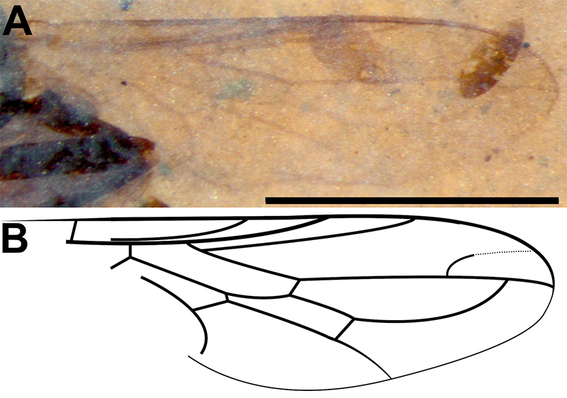 figure15