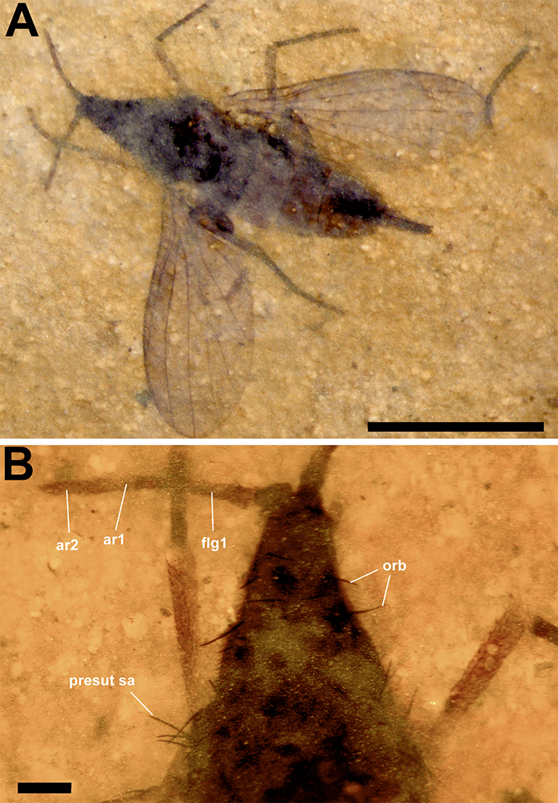figure22