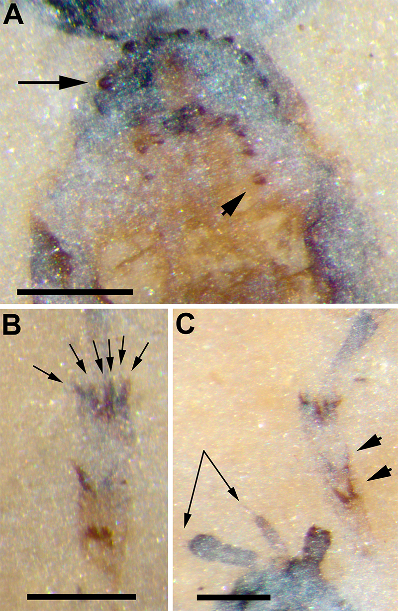figure3