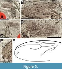 s figure5