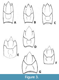 s figure3