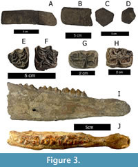 s figure3
