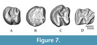 s figure7