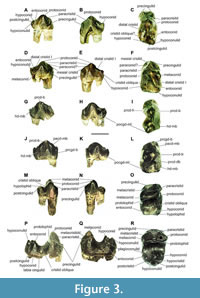 s figure3