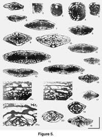 fig05a