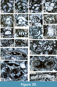 s fig20