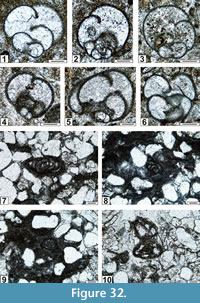 s fig32