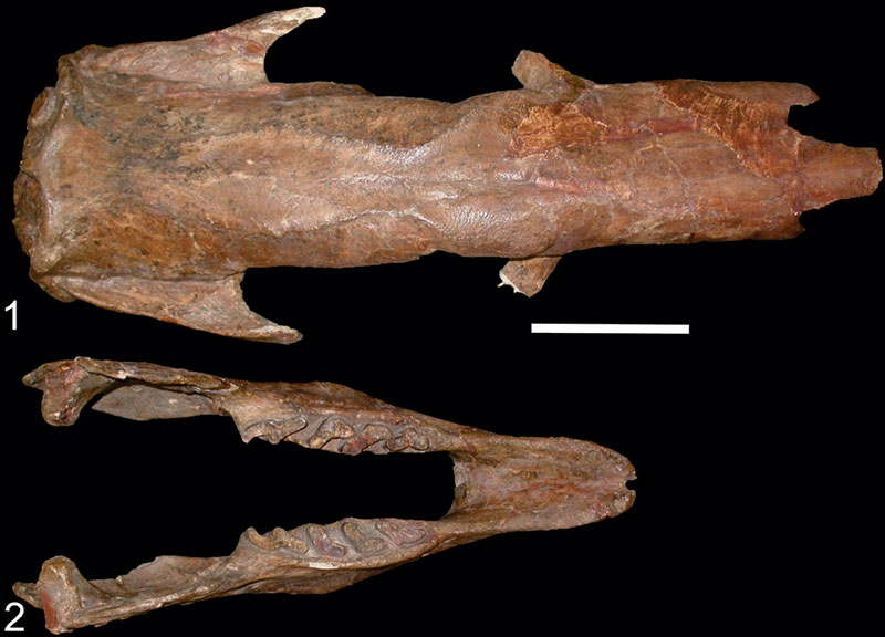 figure6