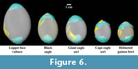 s figure6