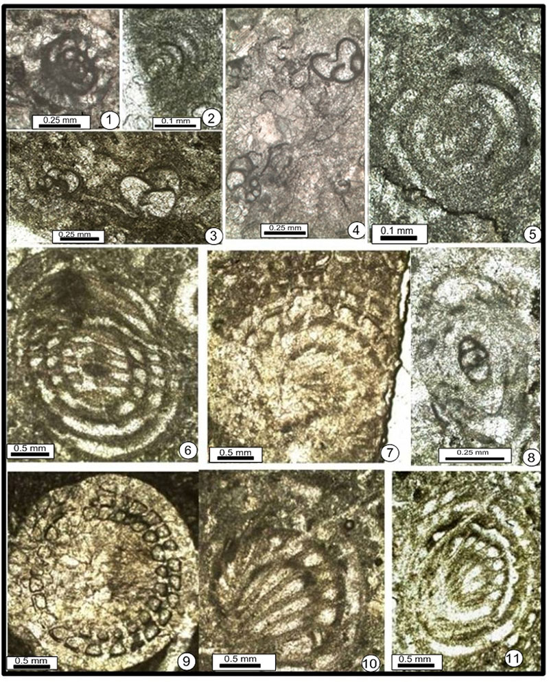 figure11
