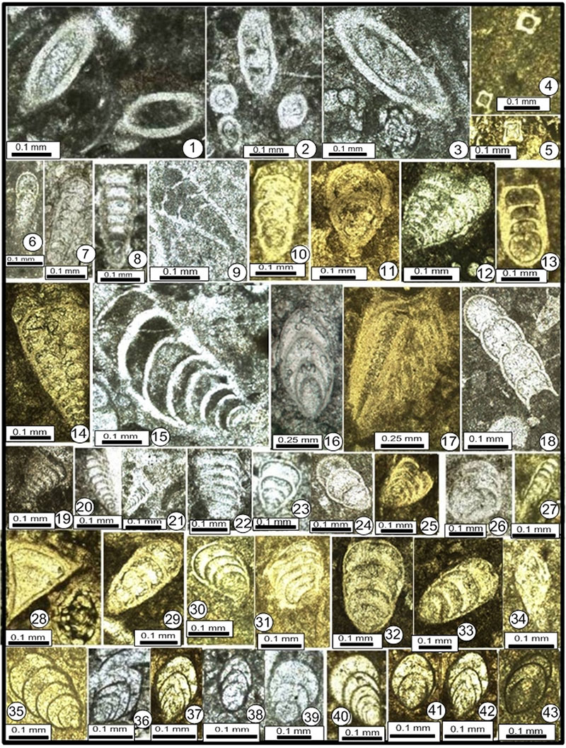 figure19