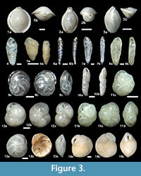 s figure3