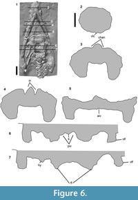 s figure6