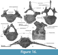 s figure16