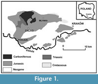 s figure1