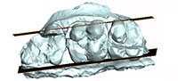 547 toc