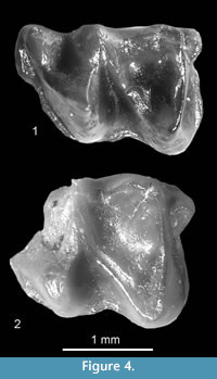 s figure3