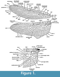 s figure1