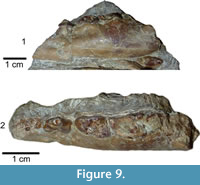 s figure9