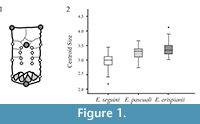 s figure1