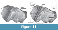 s figure11