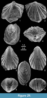 s figure29