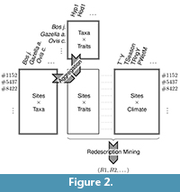 s figure2