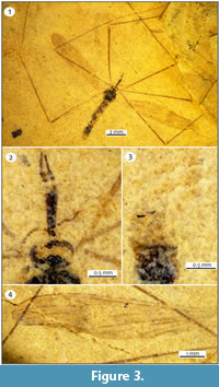 s figure3