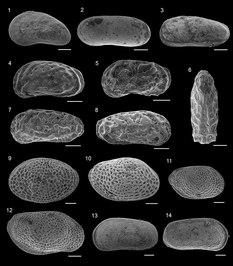 figure15