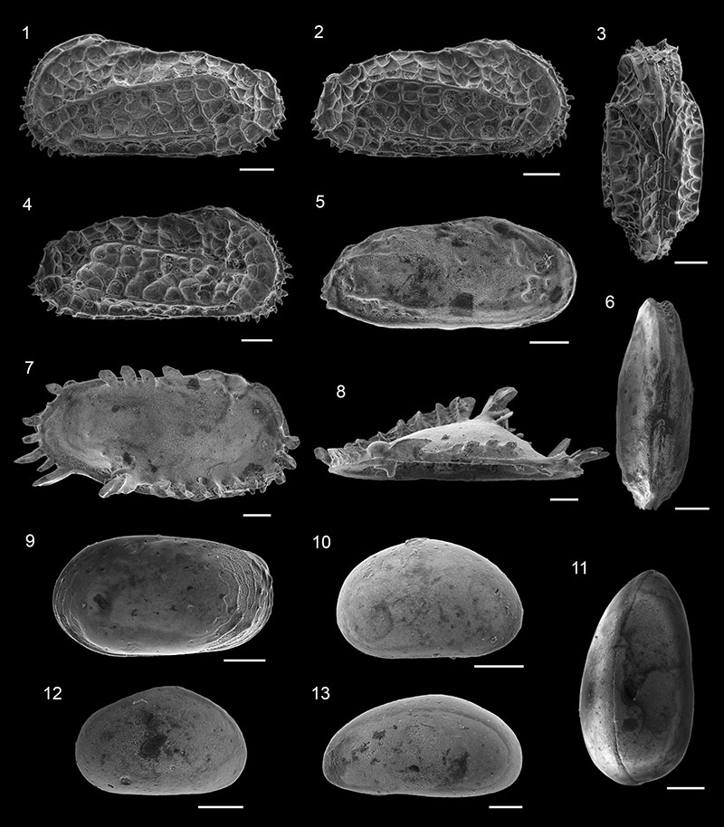 figure17