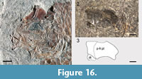 s figure16