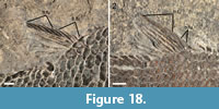 s figure18