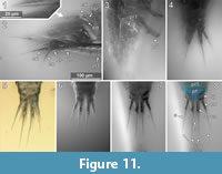s figure11